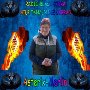 AsteriX-Merlin